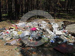 Garbage in the forest