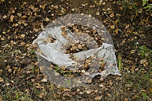Garbage in the forest. Ecologic problem