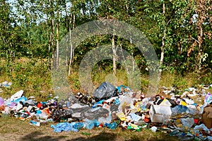 Garbage in the forest, garbage in the nature, pollution of the environment