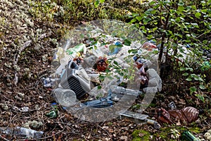 garbage in the forest among Northern Reindeer Lichen and foliage from truckers. environmental protection