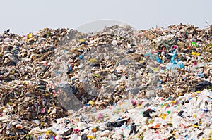 Garbage heap