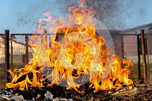 Garbage incineration on the farm. Atmospheric pollution by smoke from the hearth