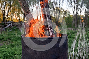 garbage incineration in rusty metal barrel. burning branches and old grass from the land plot in a barrel. spring cleaning of the