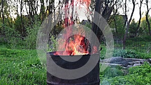 Garbage incineration in rusty metal barrel. Burning branches and old grass from the land plot in a barrel. Spring cleaning of the