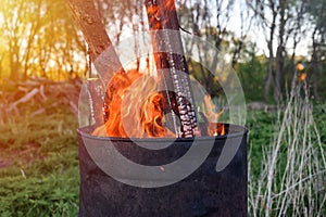 Garbage incineration in rusty metal barrel. burning branches and old grass from the land plot. spring cleaning of the backyard and