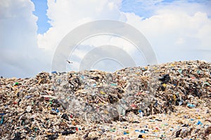 Garbage in landfill