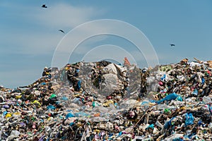 Garbage landfill. A big mountain of household waste. Problems with recycling and sorting garbage. Birds fly over the garbage dump