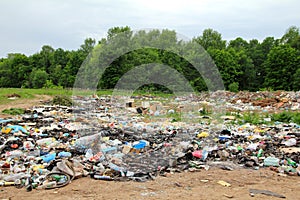 Garbage in landfill near forest