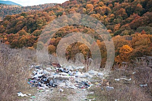 Garbage in landfill near forest - environment pollution