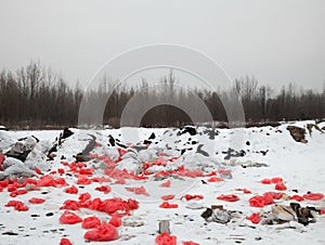 Garbage on the landfill in winter