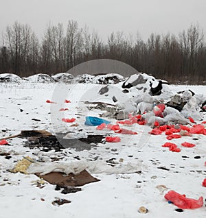 Garbage on the landfill in winter