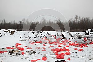 Garbage on the landfill in winter