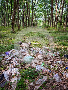 Garbage littering the forest. photo