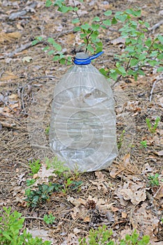 garbage from one big empty white plastic bottle stands on gray ground