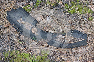 garbage from one dirty black piece of rubber from an old car tire