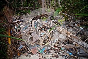 Garbage pile deposit Branches wood,