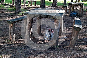 Garbage in a pine forest