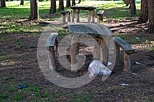 Garbage in a pine forest