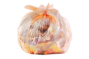 Garbage: Plastic bag with brown onionskin on a white background