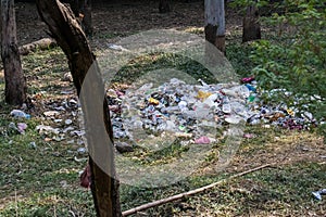 Garbage and Plastic Waste in Forest Tourist Spot