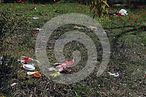 Garbage polled by tourists in the flowering forest. Israel Feb-02-2019