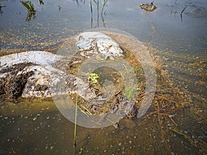 Garbage that pollutes the water. photo
