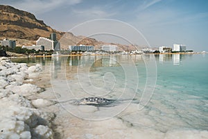 Garbage in salt water on the shore of dead sea. Pollution of natural monuments. Environmental problems of the planet. A dead bird