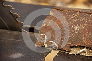 garbage at a sawmill. A circular saw is sawing a wooden piece. tree processing