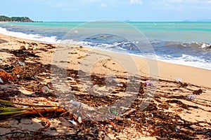 Garbage on sea beach, unsorted rubbish, plastic, glass bottle, metal can, trash, refuse, litter, environmental pollution, ecology