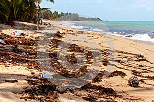 Garbage on sea beach, unsorted rubbish, plastic, glass bottle, metal can, trash, refuse, litter, environmental pollution, ecology