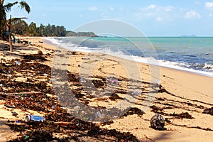 Garbage on sea beach, unsorted rubbish, plastic, glass bottle, metal can, trash, refuse, litter, environmental pollution, ecology