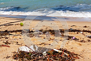 Garbage on sea beach, unsorted rubbish, plastic, glass bottle, metal can, trash, refuse, litter, environmental pollution, ecology