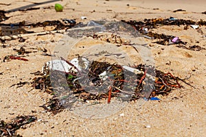 Garbage on sea beach, unsorted rubbish, plastic, glass bottle, metal can, trash, refuse, litter, environmental pollution, ecology