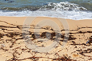 Garbage on sea beach, unsorted rubbish, plastic, glass bottle, metal can, trash, refuse, litter, environmental pollution, ecology