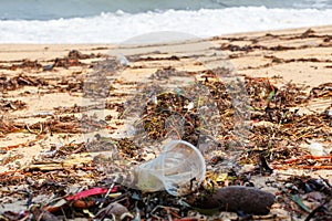 Garbage on sea beach, unsorted rubbish, plastic, glass bottle, metal can, trash, refuse, litter, environmental pollution, ecology