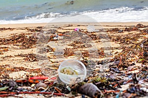 Garbage on sea beach, unsorted rubbish, plastic, glass bottle, metal can, trash, refuse, litter, environmental pollution, ecology