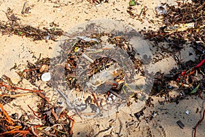 Garbage on sea beach, unsorted rubbish, plastic, glass bottle, metal can, trash, refuse, litter, environmental pollution, ecology