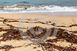 Garbage on sea beach, unsorted rubbish, plastic, glass bottle, metal can, trash, refuse, litter, environmental pollution, ecology photo