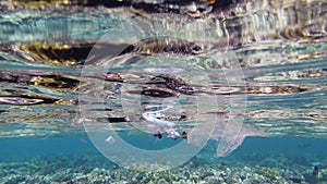 garbage in the sea. Plastic pollution of the sea. used, plastic bags slowly drifting over the coral reef, underwater, in