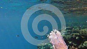 garbage in the sea. Plastic pollution of the sea. used, white plastic bag slowly drifting over the coral reef