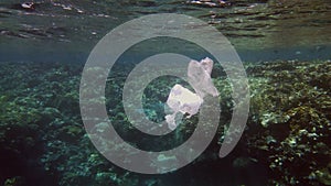 garbage in the sea. Plastic pollution of the sea. used, white plastic bags slowly drifting over the coral reef