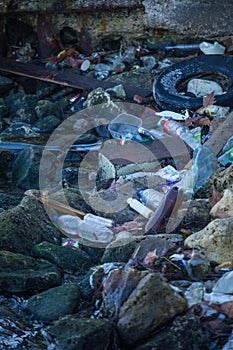 Garbage on the seashore