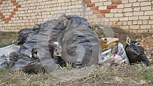 Garbage torn bags the package and recycle green bin environmental pollution outdoors