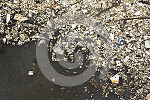 Garbage and trash on surface of water in pond at outdoor in Shantou town or Swatow city in Guangdong, China