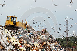 Garbage truck dumping the garbage on a landfill