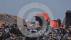 A garbage truck pours garbage out of its body at a landfill. Vulture birds fly over the garbage. Ecological problems