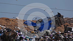 A garbage truck pours garbage out of its body at a landfill. Vulture birds fly over the garbage. Ecological problems