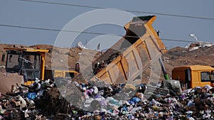 A garbage truck pours garbage out of its body at a landfill. Vulture birds fly over the garbage. Ecological problems