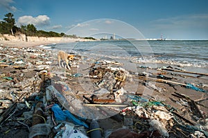 Garbage and wastes on the beach