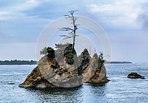 Garbaldi, OR - Three Graces photo